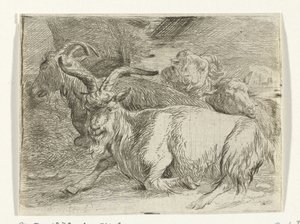 To geder og to får af Jan van Ossenbeeck