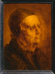 Den gamle mands studiehoved ... af Jan van de Venne