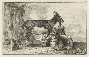 geder Dyr (serietitel) Zoographiam (serietitel)