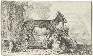 geder Dyr (serietitel) Zoographiam (serietitel)