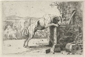 Hund ved et springvand Dyr (serietitel) Zoographiam (serietitel)