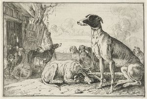 hundekennel Dyr (serietitel) Zoographiam (serietitel)