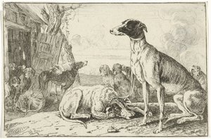 hundegård Dyr (serietitel) Zoographiam (serietitel)