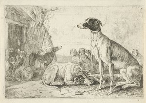 hundegård Dyr (serietitel) Zoographiam (serietitel)