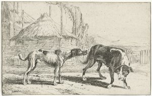 Hankøn og hunkøn Dyr (serietitel) Zoographiam (serietitel)