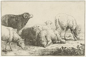 Får Dyr (serietitel) Zoographiam (serietitel)