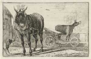 To æsler Dyr (serietitel) Zoographiam (serietitel)