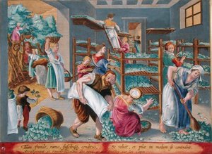 Kvinder, der fylder hylder med morbærblade til silkeormene, planche 5 fra "Vermis Sericus" (Silkeormen), graveret af Philip Galle (1537-1612) (stik) af Jan van der Straet