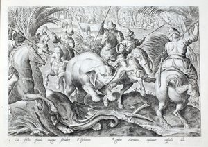Elefanter larmer, når de bliver ramt af jægers spyd, illustration fra 