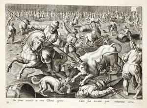 En massetyrefægtning i en indhegning, illustration fra 