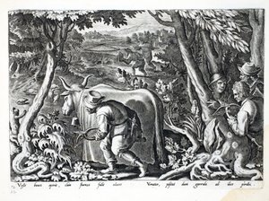 Jagt efter stære og agerhøne, illustration fra 