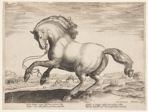 En dansk hest, fra fjerde sæt af "Equile Joannis Austriaci" af Jan van der Straet, called Stradanus