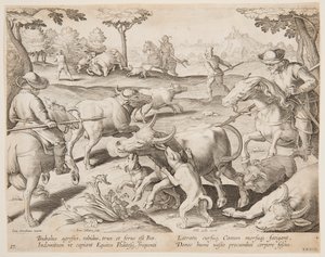 Buffalo Hunt, tallerken 27 i Hunts of Game, Birds and Fish-serien af Jan van der Straet, called Stradanus