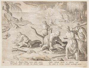 Krokodillejagt i Tentyra, i Egypten, tallerken 30 fra Hunts of Wild Animals, Birds and Fish-serien af Jan van der Straet, called Stradanus