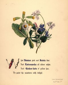 Tusindfryd, violer, dameskjorter og gøgeurter af Jane Elizabeth Giraud