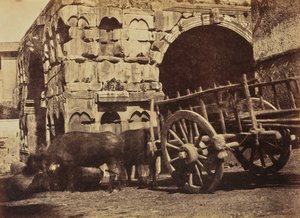 Buffalo Cart, Rom