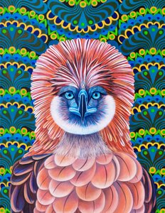 Philippine Eagle, 2020 af Jane Tattersfield
