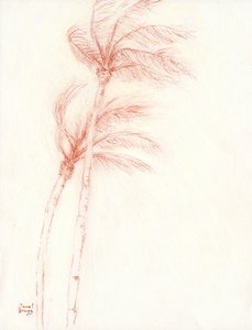 Once Upon a Tropical Vacation Palm Trees, ca. 2019 (blyant på papir) af Janel Bragg