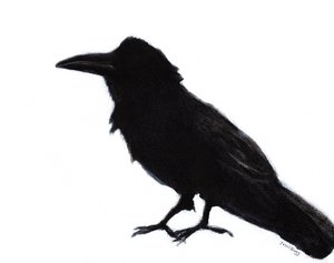 Raven at Baker Beach, ca. 2023 (blandede medier på papir) af Janel Bragg