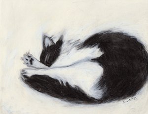Thomas Taking a Nap, ca. 2018 (kul og pastel på papir)