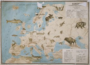 Kort over dyr i Europa, (farvegravering)