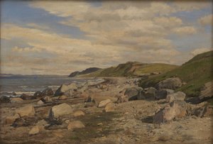 Strandparti ved Helgenæs