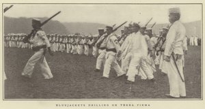 Bluejackets borer på Terra Firma af Japanese Photographer