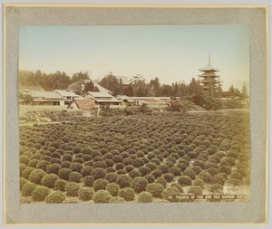 Pagoda of Toji and Tea Garden, Kyoto, Japan (håndfarvet sort/hvid foto) af Japanese Photographer