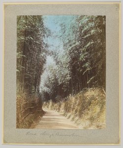Vej gennem en bambuslund, Japan (håndfarvet sort/hvid foto) af Japanese Photographer