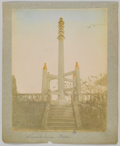 Sorento Tower, Nikko, Japan (håndfarvet sort/hvid foto) af Japanese Photographer