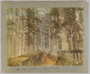 Stentrapper op til Ieyasus grav, Nikko, Japan (håndfarvet sort/hvid foto) af Japanese Photographer