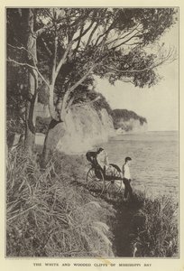 De hvide og skovklædte klipper i Mississippi Bay