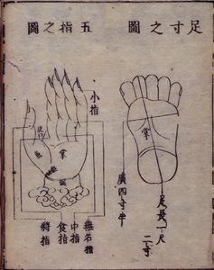 16029.b.5 fol.15v Diagram, der viser akupunkturpunkter i hænder og fødder, fra en japansk kommentar til et kinesisk værk om akupunktur, Shisijing fahui fra 1341 af Hua Shou, Kyoto af Japanese School