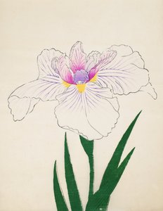Det er afsløret. - Ul, af. 10, 1898 af Japanese School