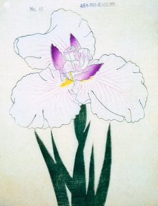 Overfladisk. -Kasumi Arimura. 43, 1898 af Japanese School