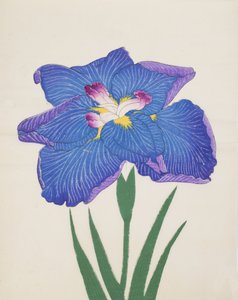 Azumabotan, nr. 89, 1890 (træblok i farver) af Japanese School