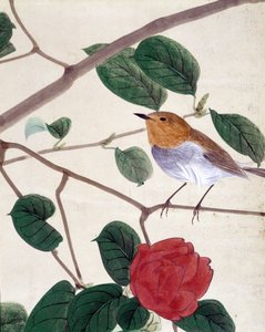 Fugl og blomster. Japansk tegning af Riou Chim, slutningen af det 19. århundrede. af Japanese School