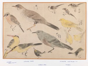 Fugle i Okyo-stil (træblok farveprint) af Japanese School