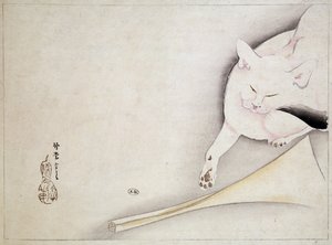 Kat, japansk tegning, n.d. 19. århundrede. af Japanese School