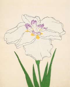 Cho-Hiyen, nr. 91, 1890 (træbloktryk i farver) af Japanese School
