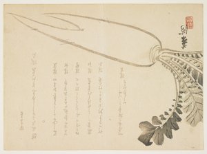 Daikon radise, januar 1864 (træbloktryk i farver) af Japanese School