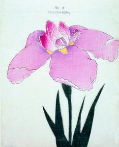 Enuno. -Sora, af. 8, 1898