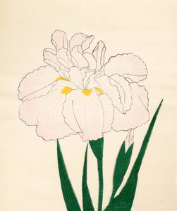 En-Yo-No-Ten, nr. 73, 1890 (træbloktryk i farver) af Japanese School