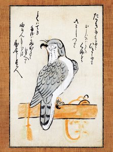 Falcon tethered to perch, illustration på lodret rulle, slutningen af det 19. århundrede, blæk og farve på papir, 43x2,5 cm, japansk civilisation, Meiji-perioden af Japanese School