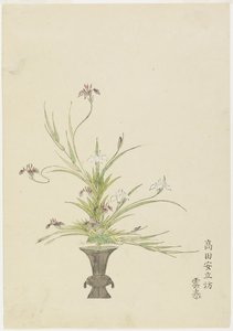 Blomsterarrangement af Takada Anritsub? Untai, Iris (håndfarvet træbloktryk) af Japanese School