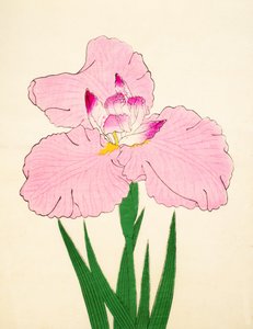 Triumf, af. 90, 1890 af Japanese School