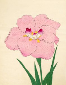 Gofukushoshu, nr. 86, 1890 (træbloktryk i farver) af Japanese School