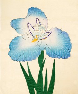 Irojiman, nr. 80, 1890 (træblok i farver) af Japanese School