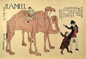 Kameel, pub. 1821 (farvet træsnit) af Japanese School