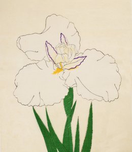 Hårvindue-med nr. 65, 1890 (Dette er DBock p Hayashi t) af Japanese School
